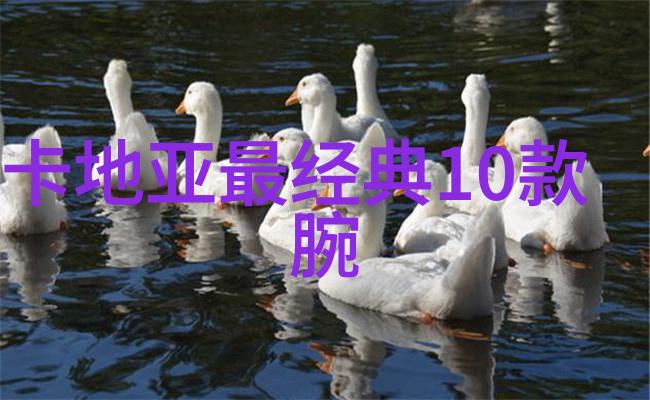 北京212 - 北京的另一面探索212号线背后的城市故事