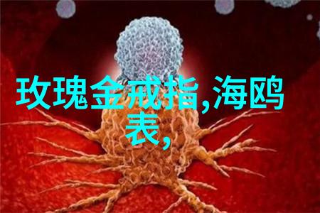 数字的秘密星辰之谜