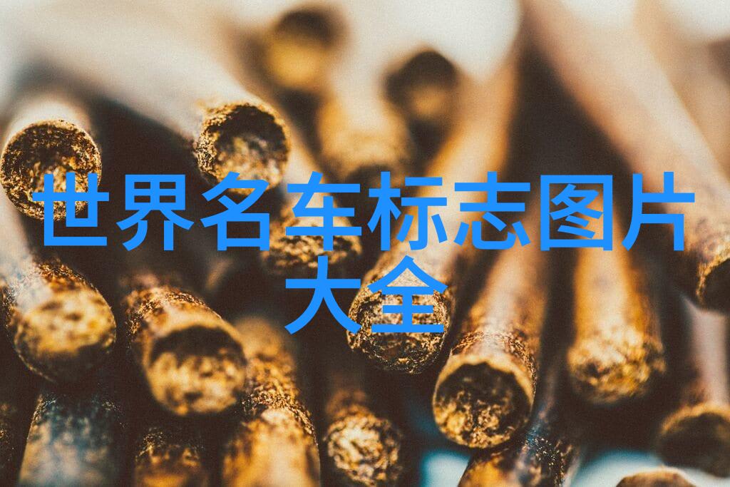 时尚前沿探索Chic Cam的边界