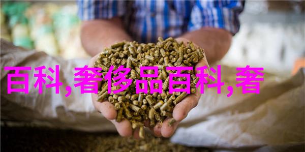 赛林2020早春新品TRIOMPHE中号肩背包携手传媒影视展现物品魅力
