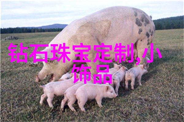 绘梦之旅一起去色探索生活的彩虹边界