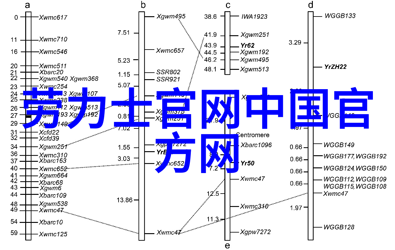 主题-女孩迈开腿让男孩给她打扑克一场温馨的互动游戏
