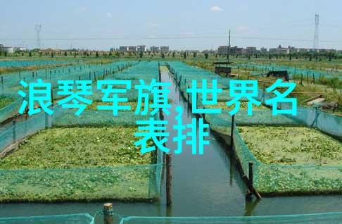香水百合探索其在音乐文化中的象征意义与艺术应用