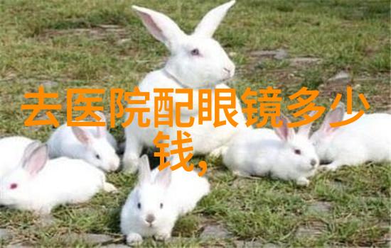 31会议决策深度解析31届公司高层会议的重要决策内容