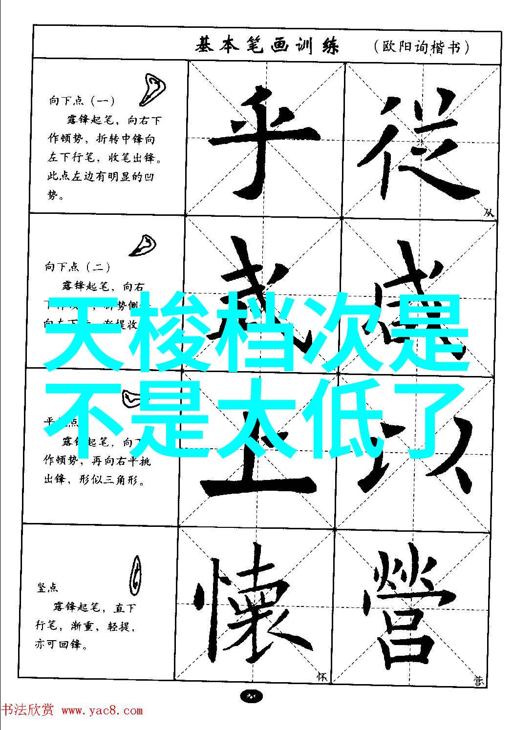 tobu8美国14vdo揭秘一代车迷心中的经典视频游戏