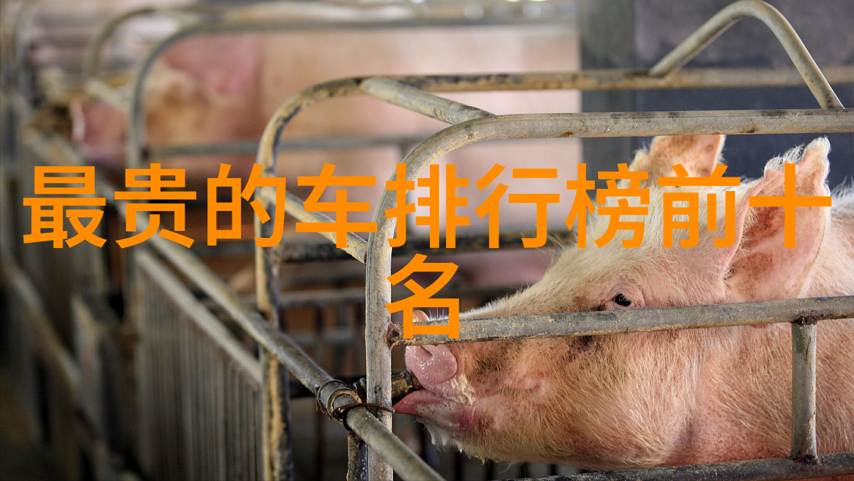 我们三个人一起要你行吗嘿你准备好了吗我们三个好友的疯狂冒险开始了