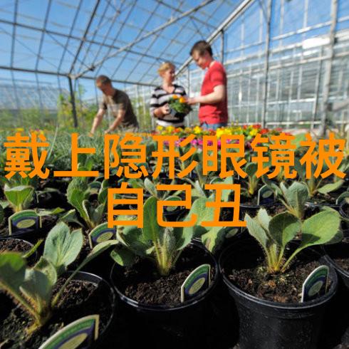 健康咨询-解锁39健康问答你的身体健康指南