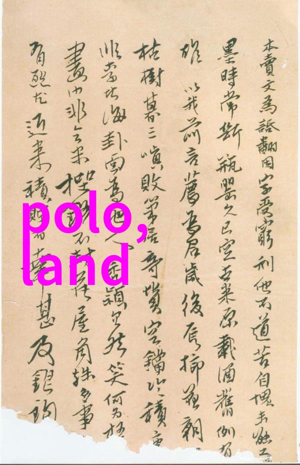 H文细节探究高级时尚文化中的精致设计细节