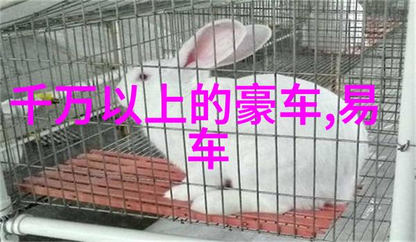 红颜妖影下的乱世风云