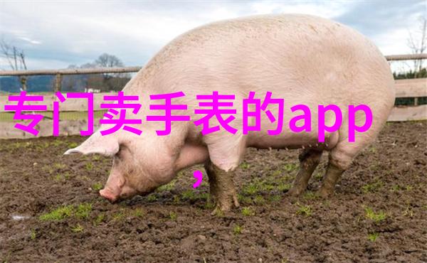 毛呢大衣穿上它就像给自己穿上了冬天的温暖拥抱