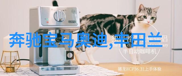 女生的短发发型图片我眼中的时尚新宠简约美的魅力探秘