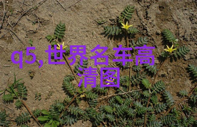一个好妈妈的D3申字电影-守护者一个母亲的坚韧之旅