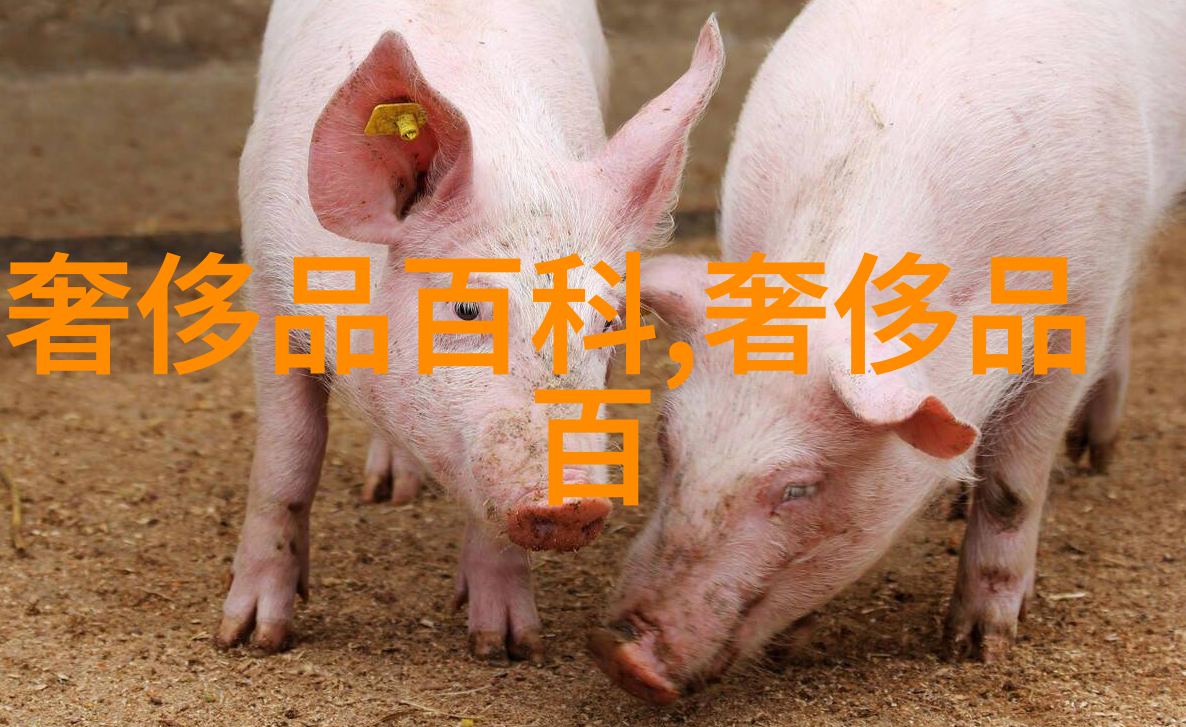 美发学校-剪刀手的艺术探索美发学校的教育与创新