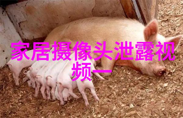 恐怖与女性女恐怖分子的阴影背后的故事与社会反响