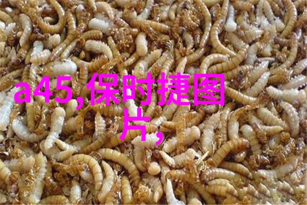 迪奥真我香水我的真我之旅迪奥香水的魅力