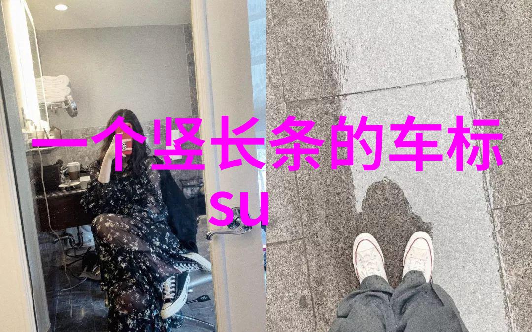 宛仪皇贵妃紫禁城中的温婉风华