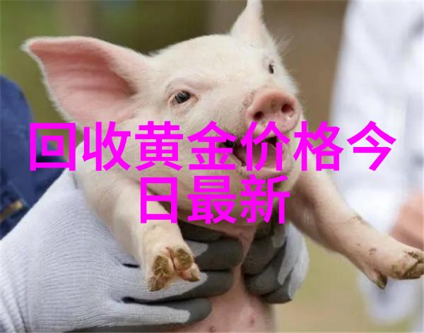 八五中药网我是怎么在八五中药网上找到了治愈我的身体的秘方