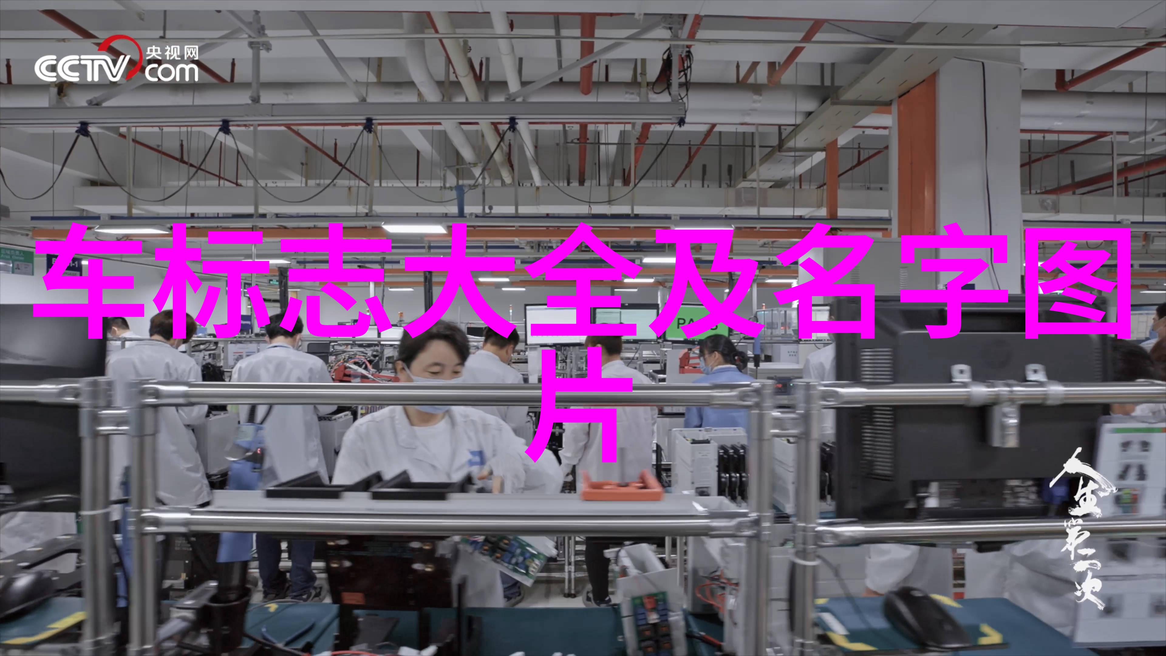 顾道长生一生的探索与传承