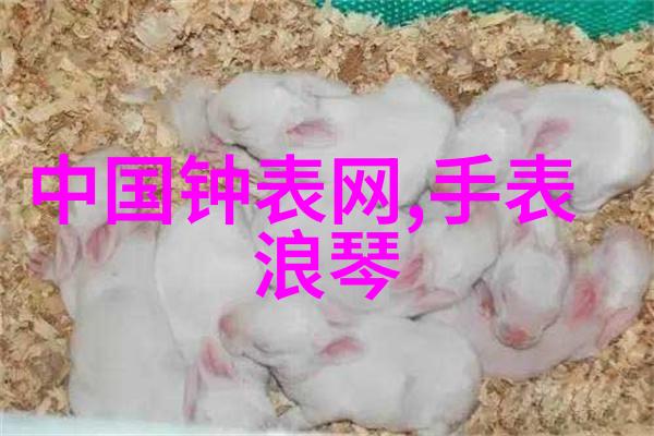 星辰之下天择小说中的命运篇章