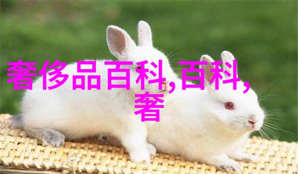 理发店洗头服务不当理发师洗头把手伸入衣物