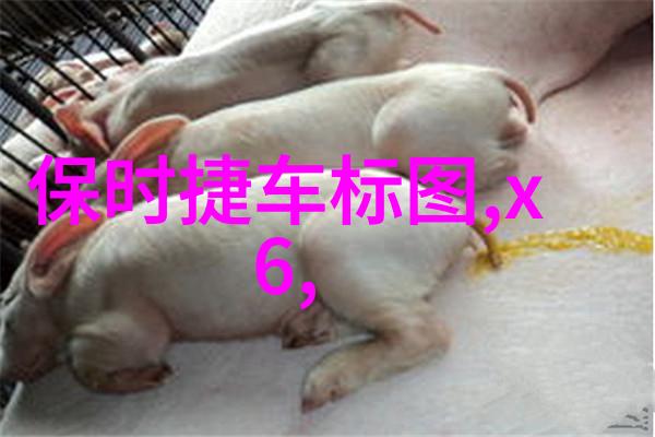 夏日炽燃偏爱折火一夏的秘密