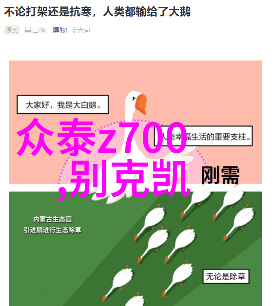 男生服装颜色搭配指南春季时尚必备