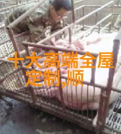 网友晒出睡过劳荣枝图片荣耀无眠的美丽瞬间