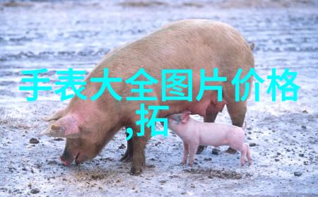 女恐怖分子她是如何一步步成为我们心中的魔鬼的