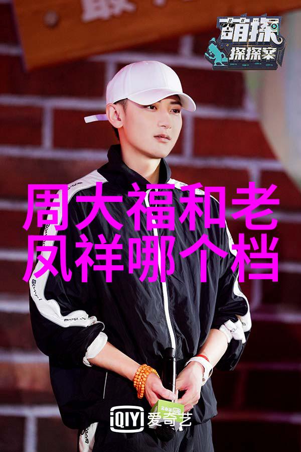 主题我是厨房的火王