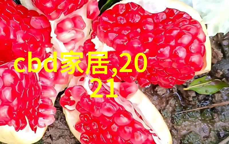 家居美学轻盈时尚的现代简约装修风格