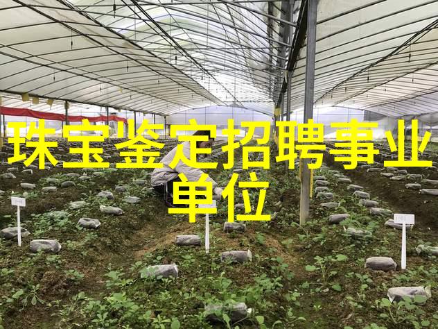 军婚恋曲燃烧的秘密与高干背后的故事