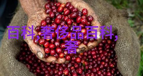 全国珠宝排前十名的有徐若瑄戴比尔斯亮相尽显女神风范