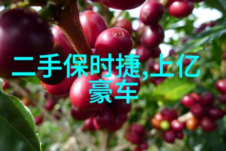 剪刀手艺与时尚展现探索干净帅气的男士发型艺术