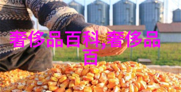 追逐完美线条专业摄影师谈如何发现并捕捉独一无二的面容