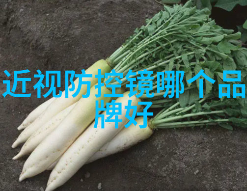 长恨歌txt我在荒野求生长恨歌的文字征途