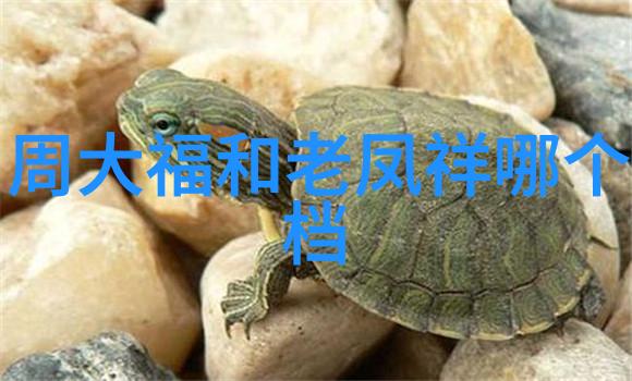 从娇生惯养到4PH归寻一条逆袭之路