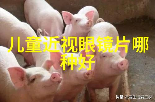 班级的公共玩具第1章我和我们的公共玩具故事的开始