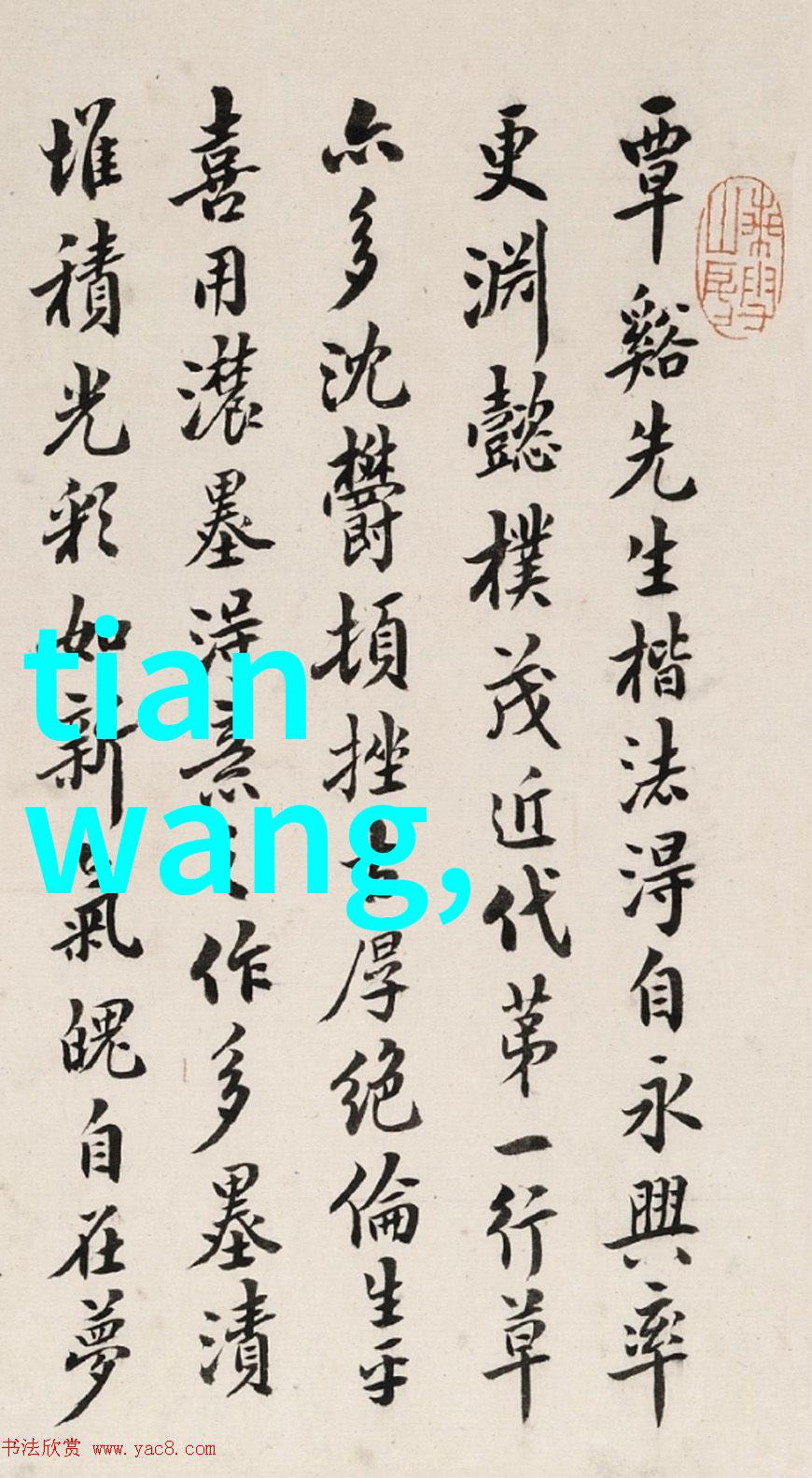美发技艺视频从基础到精通的学习之旅