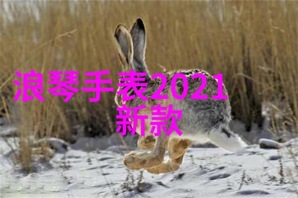 新宁物流如何保证货物的安全和及时到达