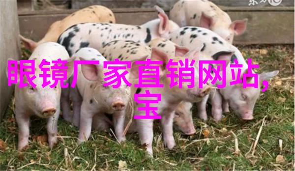 回娘家妈妈让我陪爸爸一段温馨的家庭时光总结