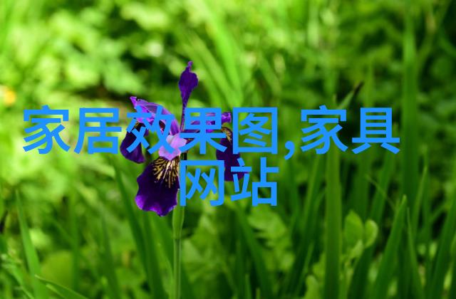 手表典当揭秘夜光功能的时间宝库发展史