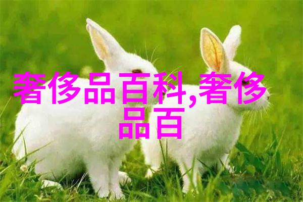 落地玻璃窗的魅力透明边界自然光线室内外景观融合