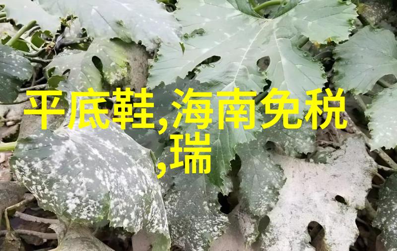 用了这些家居用品才知道原来生活可以这么享受