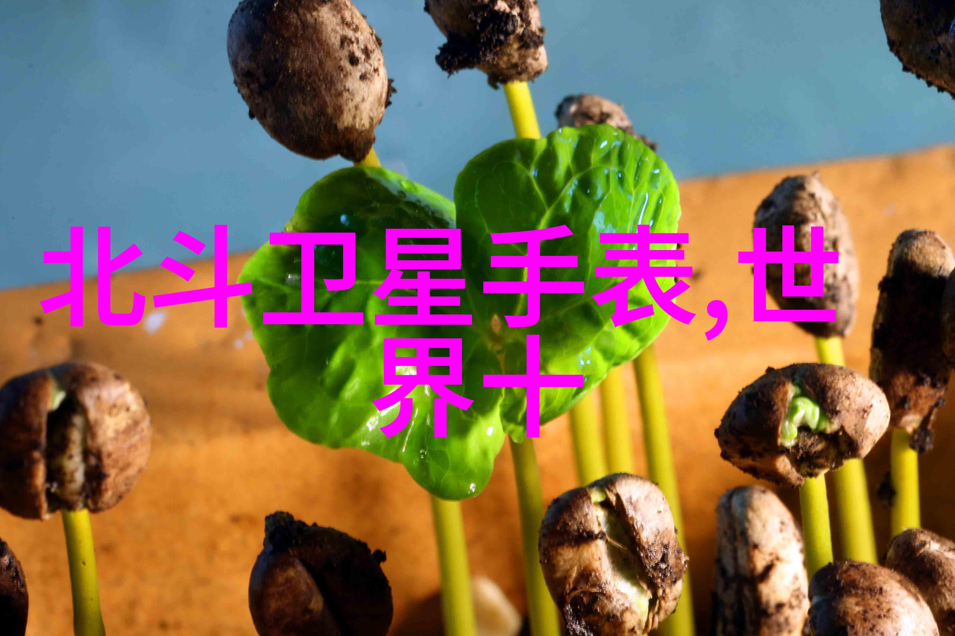 深空之流浪舰队我在星际的孤独航行中遇见了它们