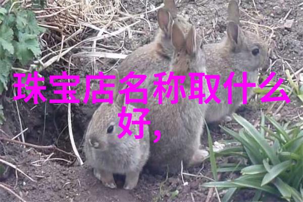 杨祐宁多套时装搭配杂志曝光引领时尚潮流的雅痞诠释早秋型男录
