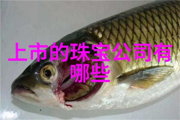 手工艺与科技相结合今晚何时可以获取最新的珠宝行业就业消息