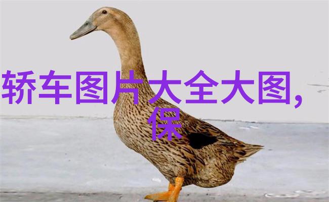 小SB的视频欠债C顾一成等待的几天