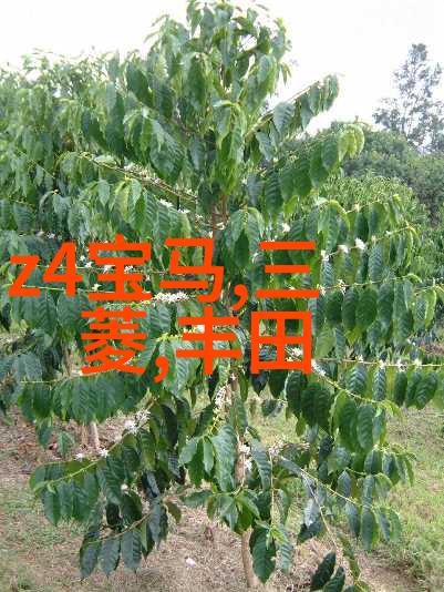 边走边撞水流了一地的水是心伤