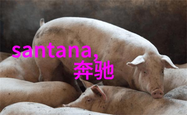 软刺玫瑰我手中的温柔挑战