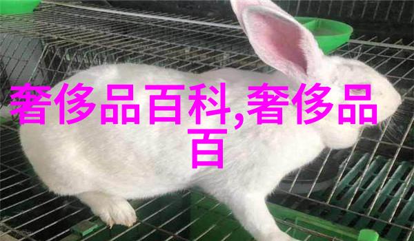 逆袭发型从平凡到非凡的美丽之旅